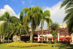 Changi North Street 1 (D17), Factory #469275461